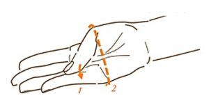 mesure main - La Forge d'Eos